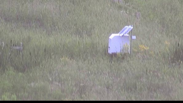 capture-4-23-07-28_20-33-30-00