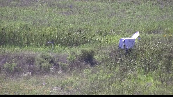 capture-5-23-07-28_16-46-57-24