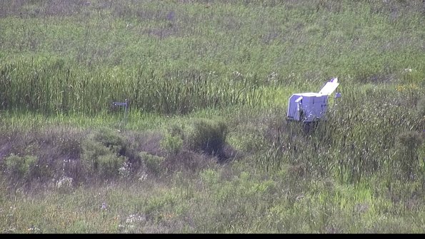 capture-5-23-07-28_16-58-17-46