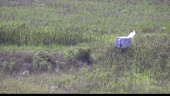 capture-5-23-07-28_17-06-57-58