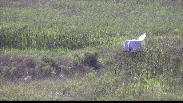 capture-5-23-07-28_17-11-18-21