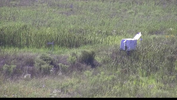 capture-5-23-07-28_17-13-27-70