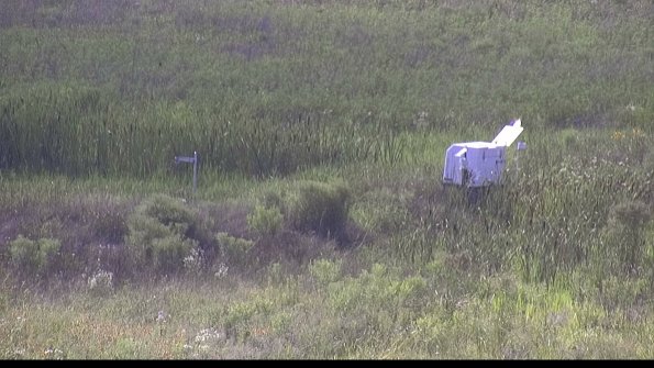 capture-5-23-07-28_17-24-17-86