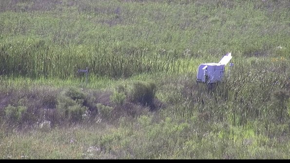 capture-5-23-07-28_17-30-47-91