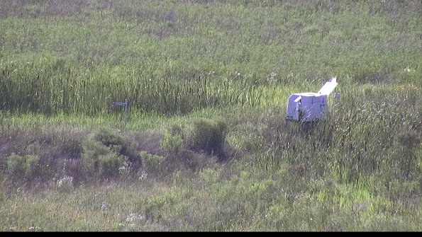 capture-5-23-07-28_17-35-08-11