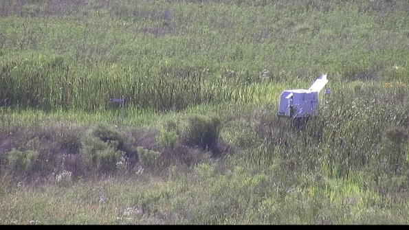 capture-5-23-07-28_17-41-38-30