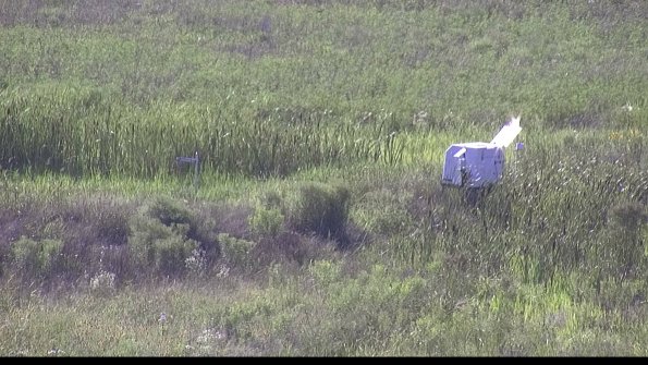 capture-5-23-07-28_17-52-27-42