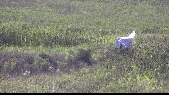 capture-5-23-07-28_17-58-58-04