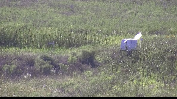 capture-5-23-07-28_18-08-28-94