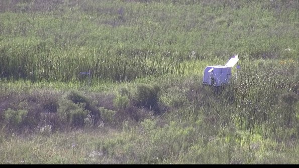 capture-5-23-07-28_18-17-09-17