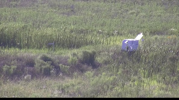 capture-5-23-07-28_18-25-48-93