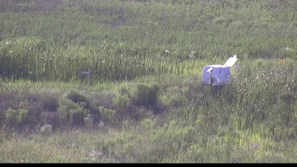 capture-5-23-07-28_18-30-08-79