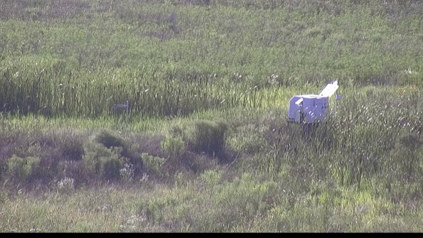 capture-5-23-07-28_18-36-38-94