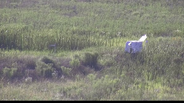 capture-5-23-07-28_18-38-48-91