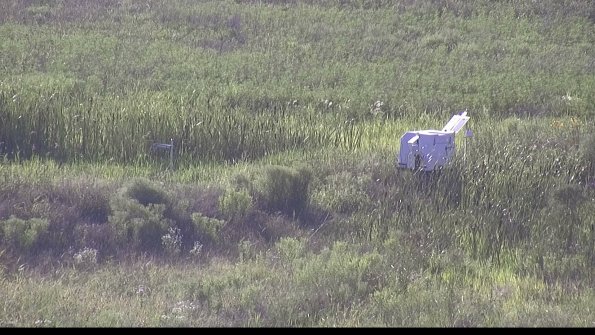 capture-5-23-07-28_19-00-28-68