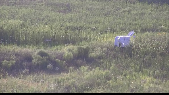 capture-5-23-07-28_19-35-08-96