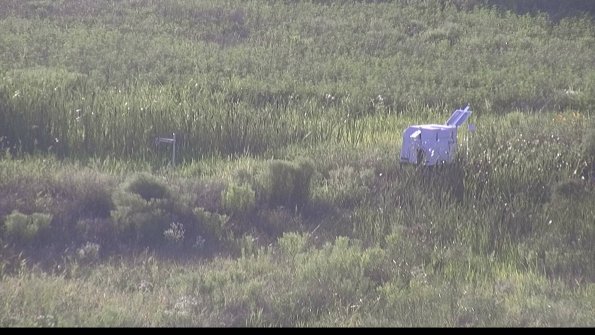 capture-5-23-07-28_19-41-38-79