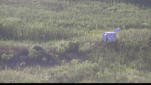 capture-5-23-07-28_19-45-58-78