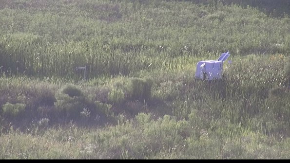 capture-5-23-07-28_19-48-08-97