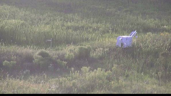 capture-5-23-07-28_20-07-38-72