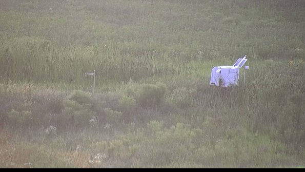 capture-5-23-07-28_20-31-28-82