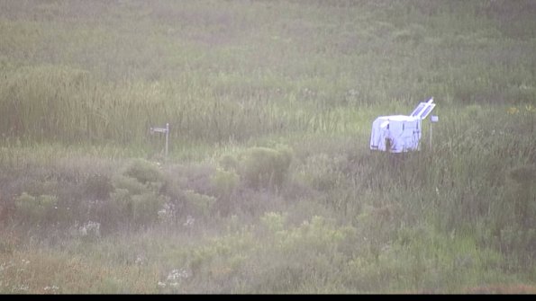 capture-5-23-07-28_20-37-58-74