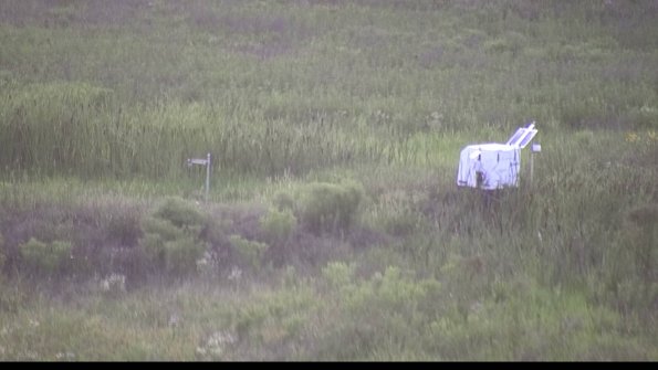 capture-5-23-07-28_20-46-38-76