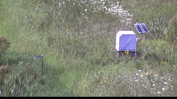 capture-6-23-07-28_16-38-25-46