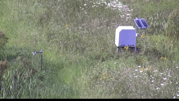 capture-6-23-07-28_16-56-17-87