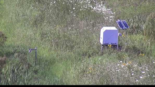 capture-6-23-07-28_17-00-37-53