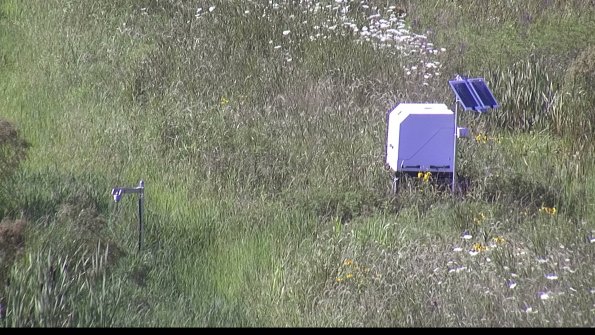 capture-6-23-07-28_17-17-56-67