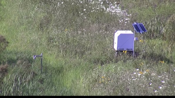 capture-6-23-07-28_17-37-27-18