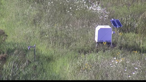 capture-6-23-07-28_18-10-47-94