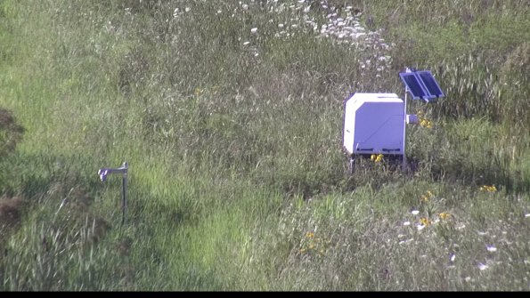 capture-6-23-07-28_18-17-17-81