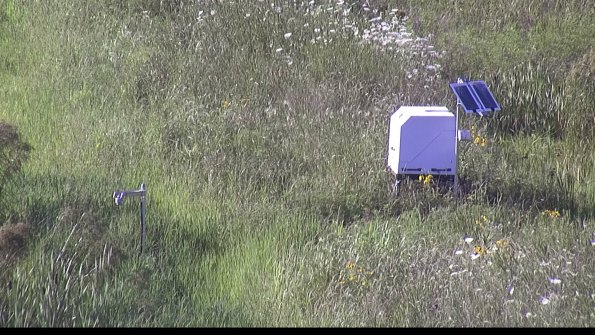 capture-6-23-07-28_18-28-08-40