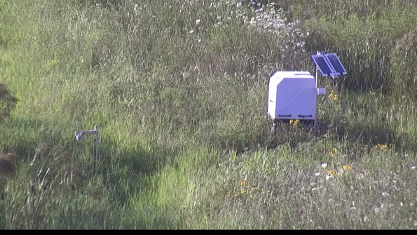 capture-6-23-07-28_19-22-17-62