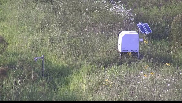 capture-6-23-07-28_19-35-18-17