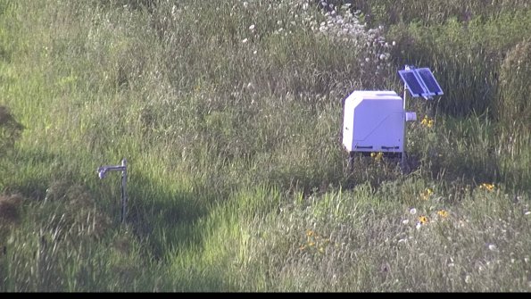 capture-6-23-07-28_19-46-08-29