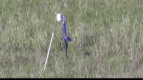 capture-7-23-07-28_17-59-17-26