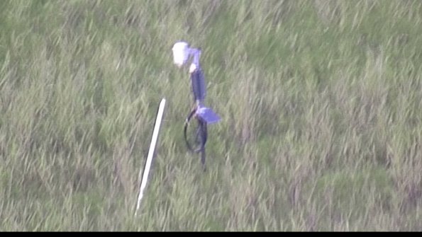 capture-7-23-07-28_20-25-17-98