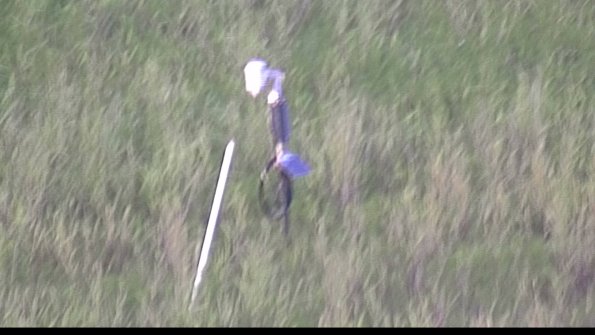 capture-7-23-07-28_20-29-38-10