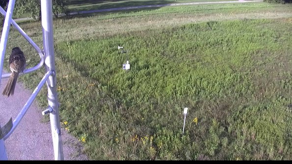 capture-1-23-07-29_08-16-57-82