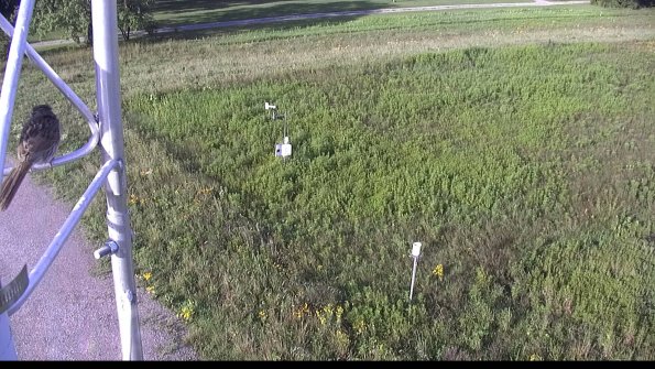 capture-1-23-07-29_08-19-08-19