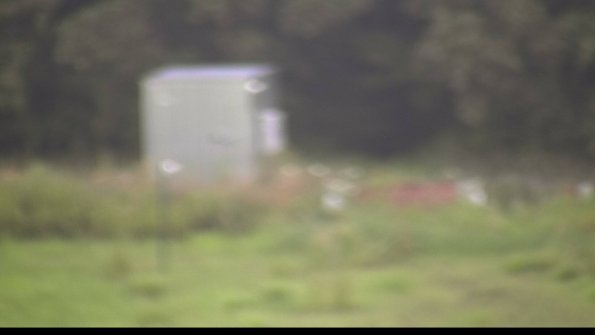 capture-2-23-07-29_07-12-10-45