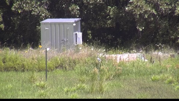 capture-2-23-07-29_12-56-07-43