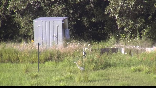 capture-2-23-07-29_17-53-06-63