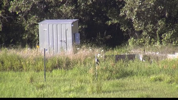 capture-2-23-07-29_18-19-06-60