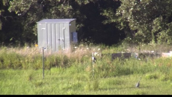 capture-2-23-07-29_18-47-16-66