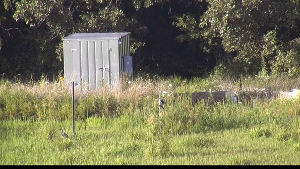 capture-2-23-07-29_19-02-26-60