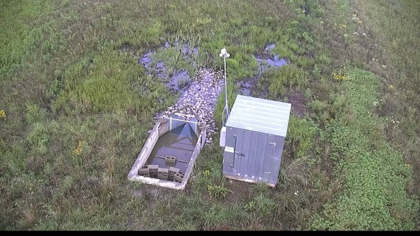 capture-20-23-07-29_08-09-33-04